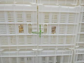 今麥郎、丹尼斯塑料筐